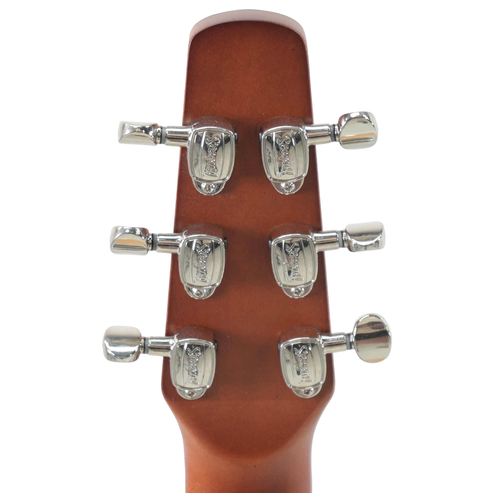 SEAGULL Performer Cw Spruce HG Presys 2