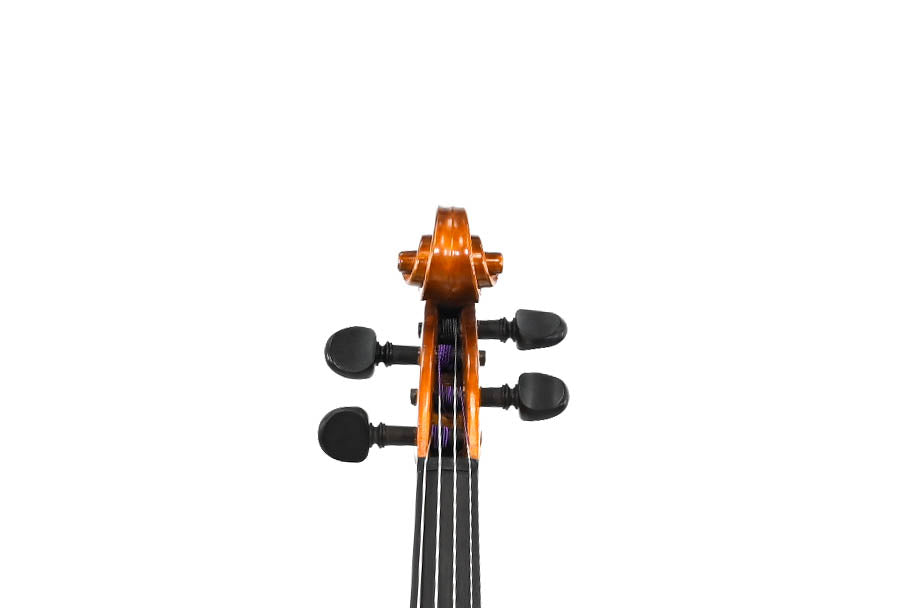 Viool 4/4 "F.Sandner 1992"