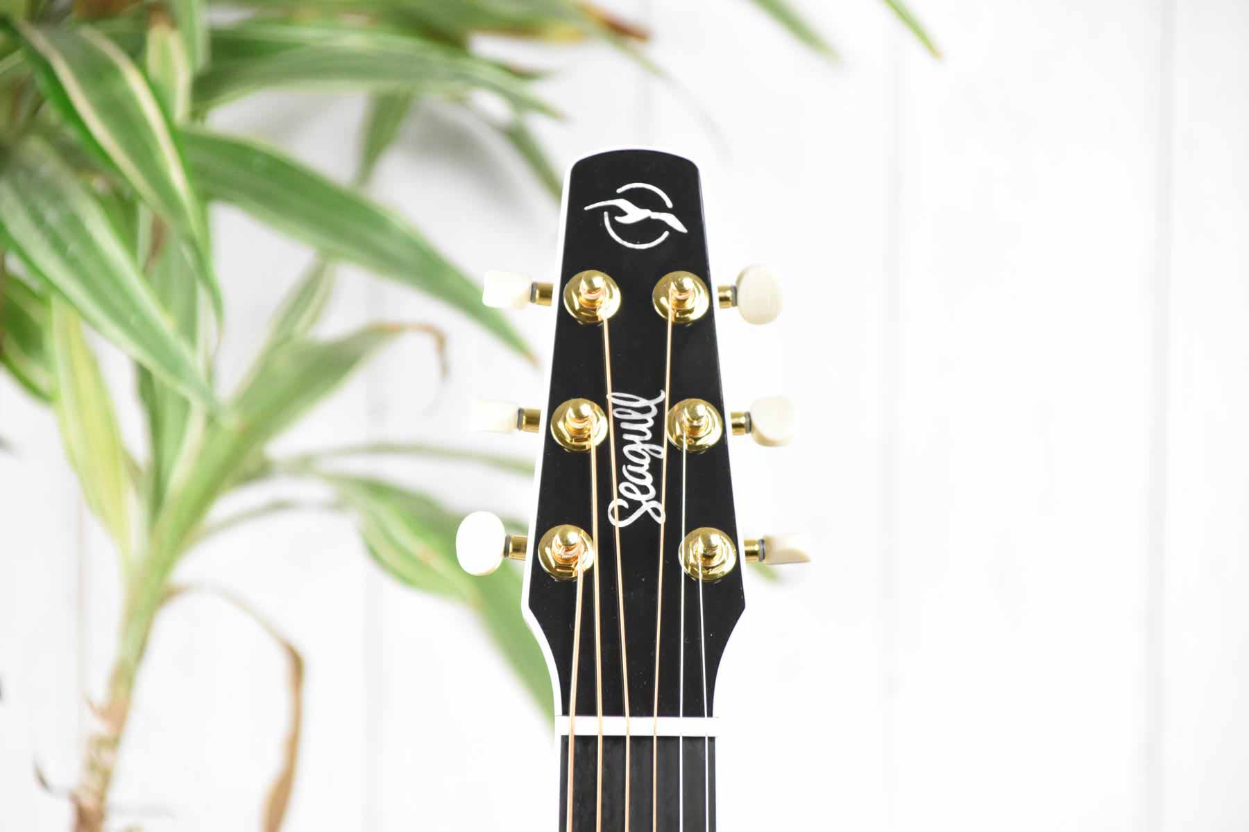 SEAGULL Artist Mosaic CH CW Bourbon Burst GT EQ