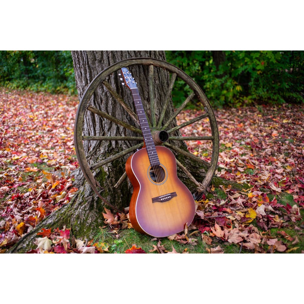 Seagull  Entourage Folk Rustic Burst