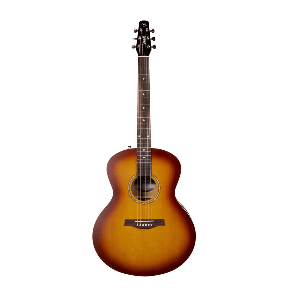 Seagull Entourage Mini Jumbo Rustic Burst