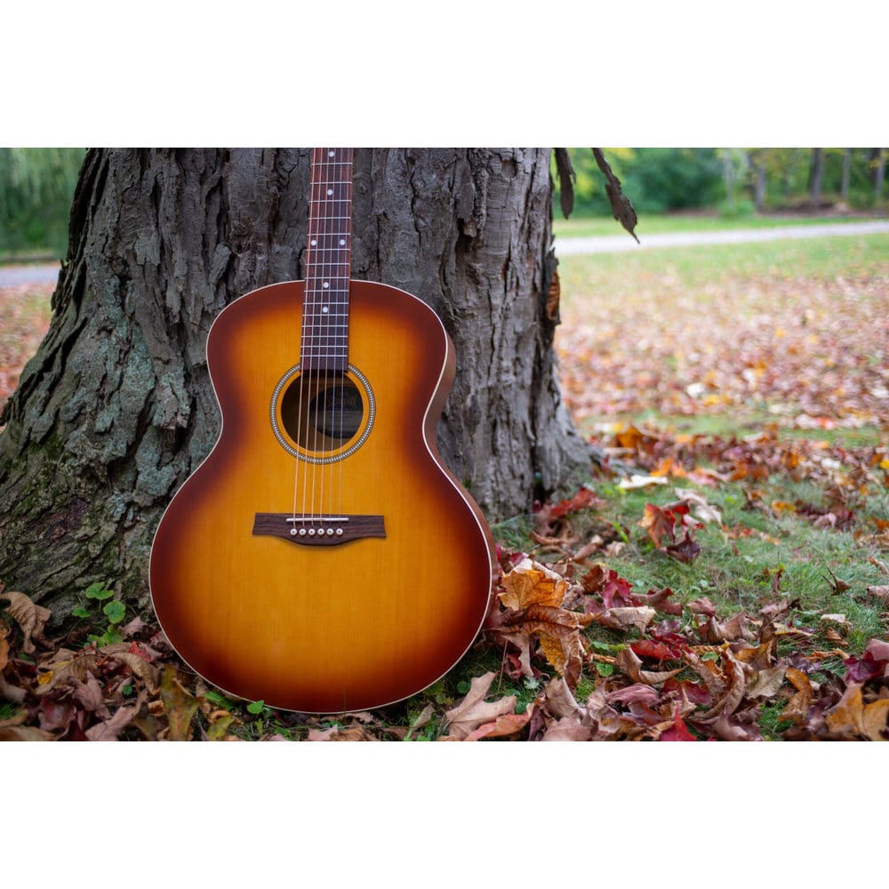 Seagull Entourage Mini Jumbo Rustic Burst