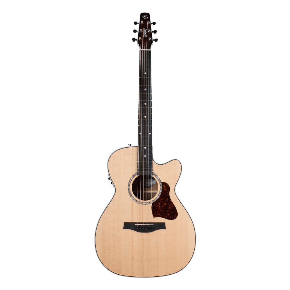 Seagull Maritime SWS CH CW Presys II