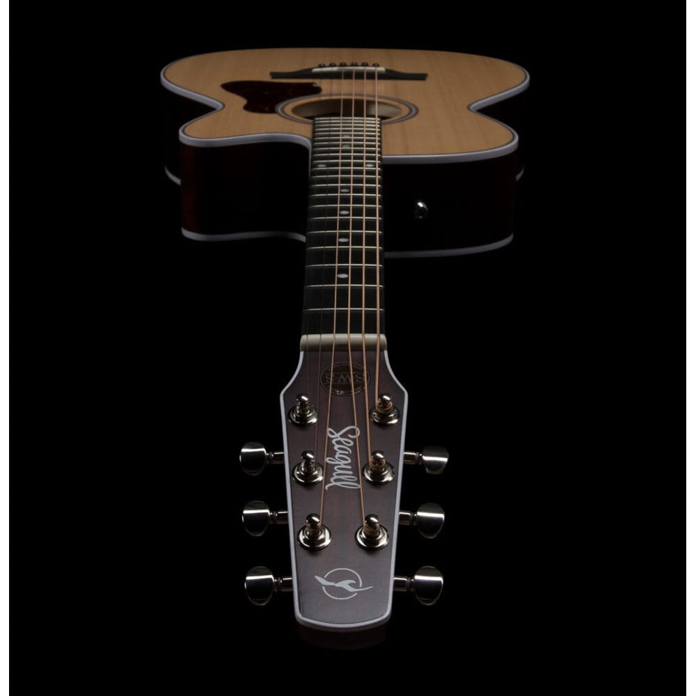 Seagull Maritime SWS CH CW Presys II