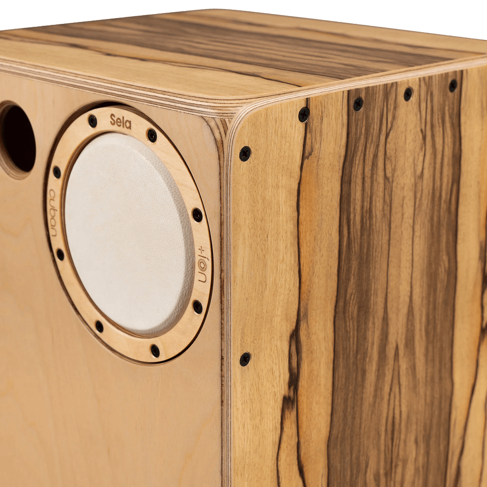 Sela Iconic Cajon - Limba