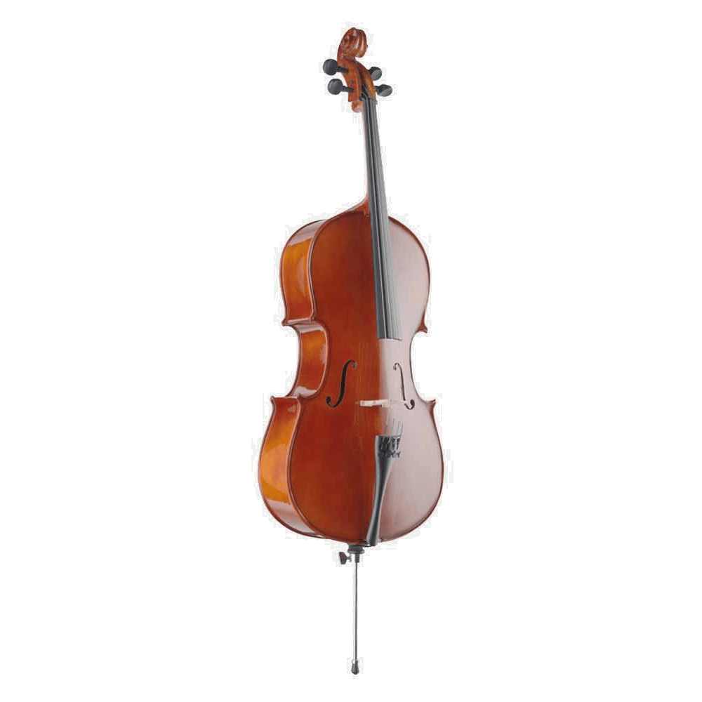 Stagg VNC-1/2 Cello complete set