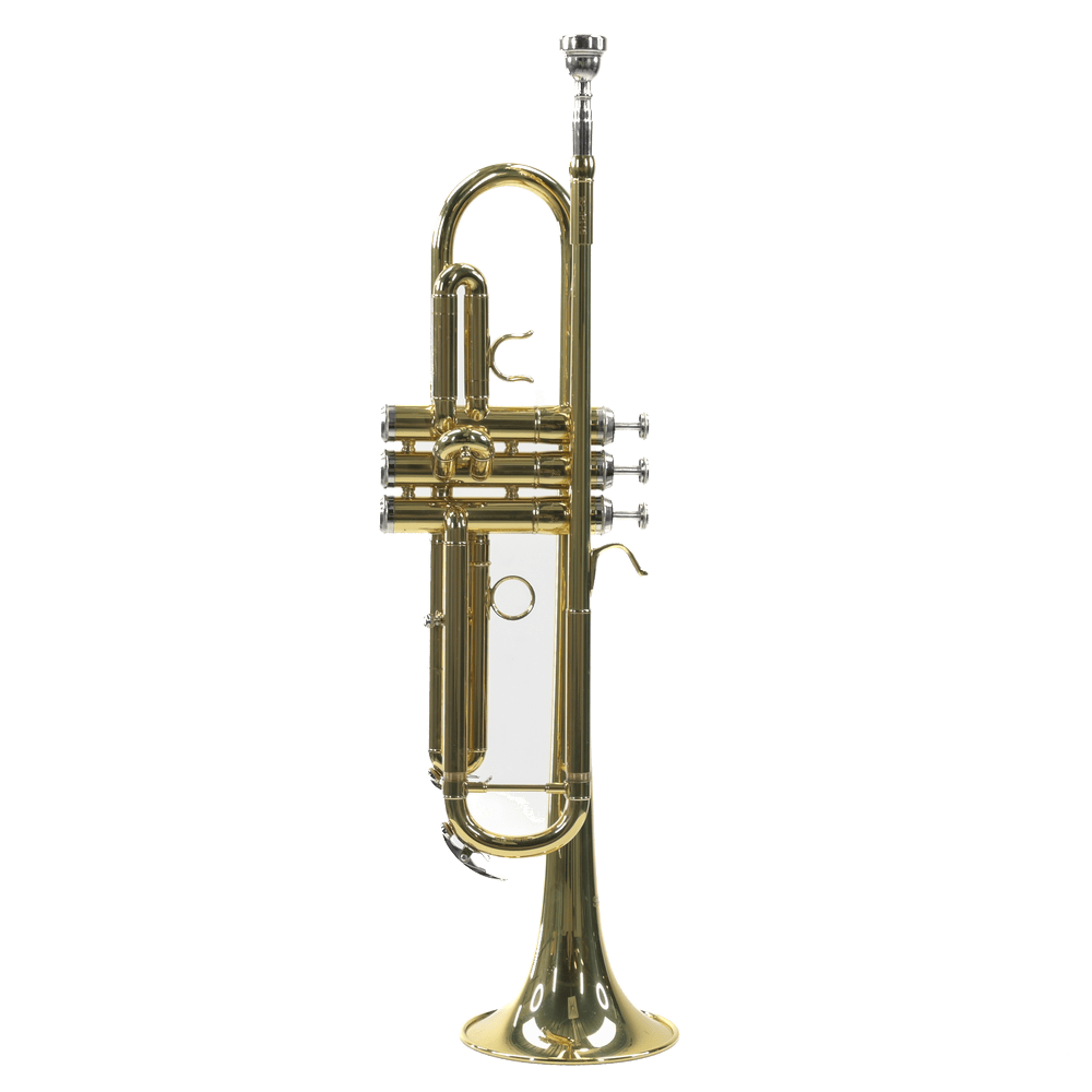 Stagg TR115 Trompet