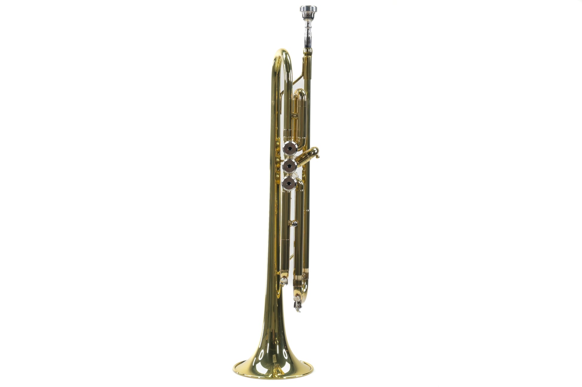 Stagg TR115 Trompet