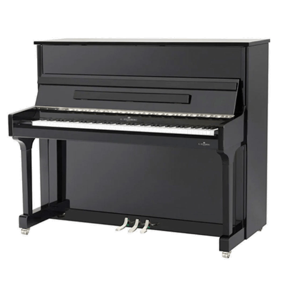 G. Steinberg GS-123 Zwart Hoogglans