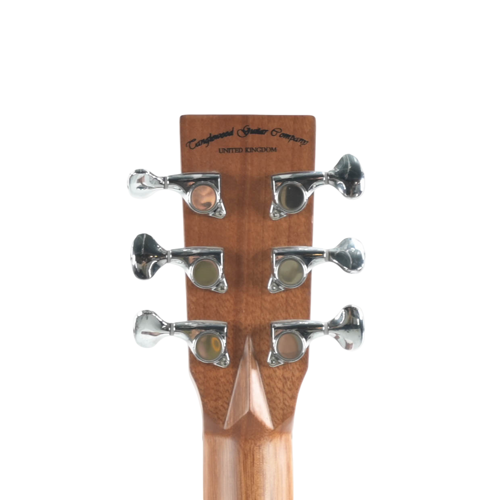 Tanglewood TSP45 Semi Akoestische Gitaar