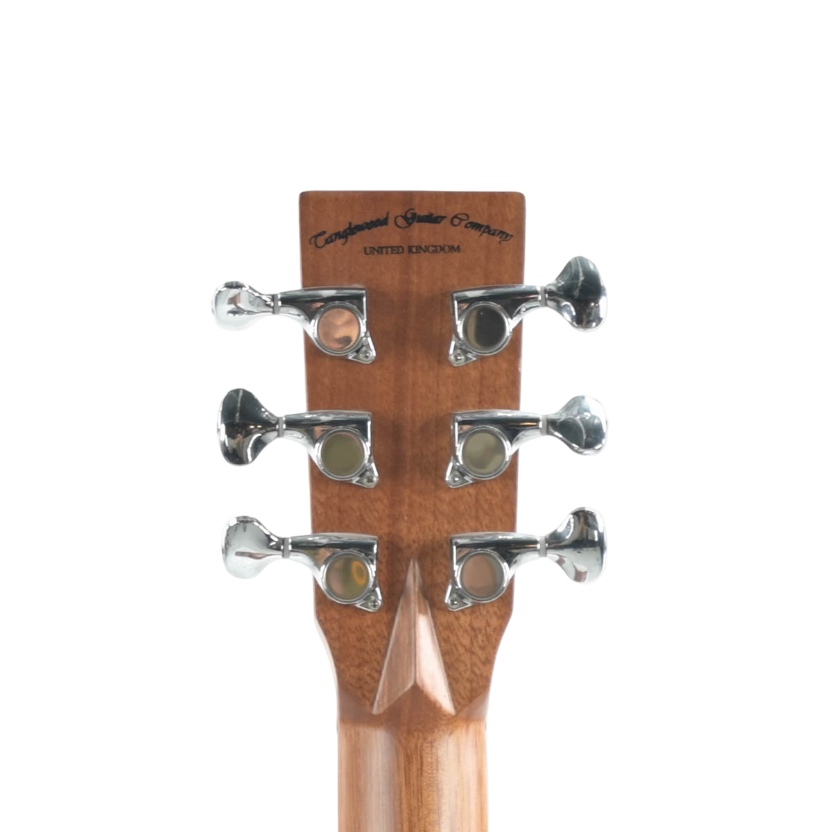 Tanglewood TSP45 Semi Akoestische Gitaar