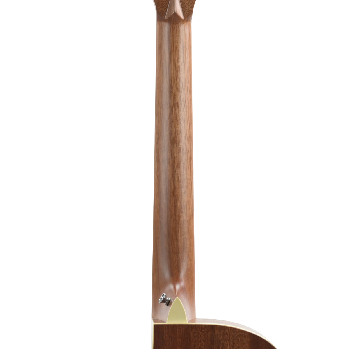 Tanglewood TSP45 Semi Akoestische Gitaar