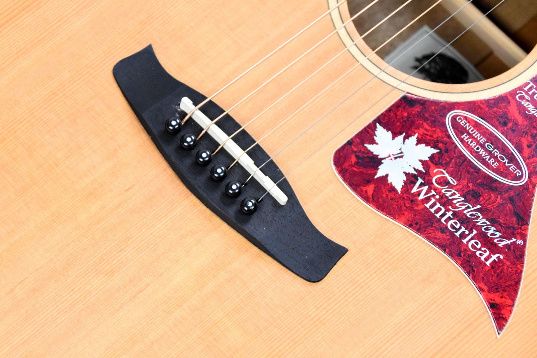 Tanglewood Winterleaf TW9E Semi-Akoestische Western Gitaar