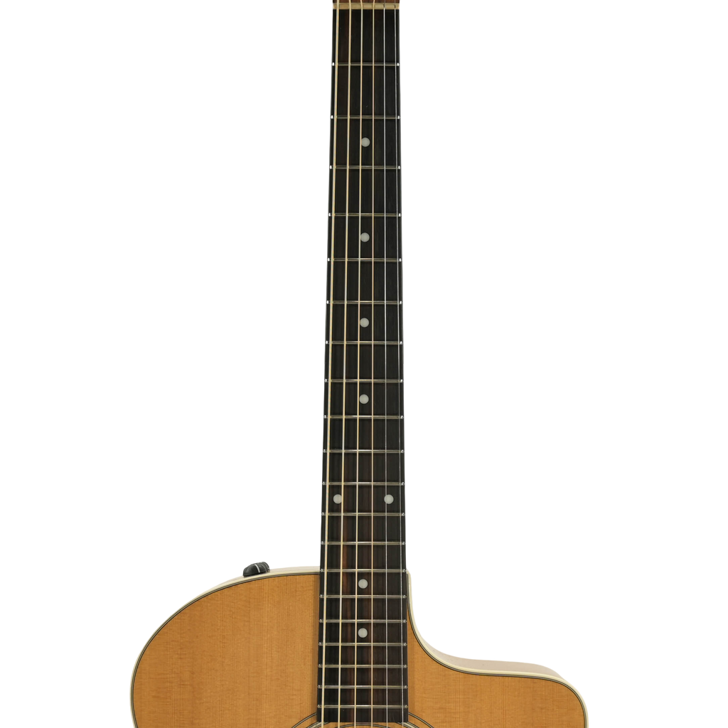 Taylor 214ce