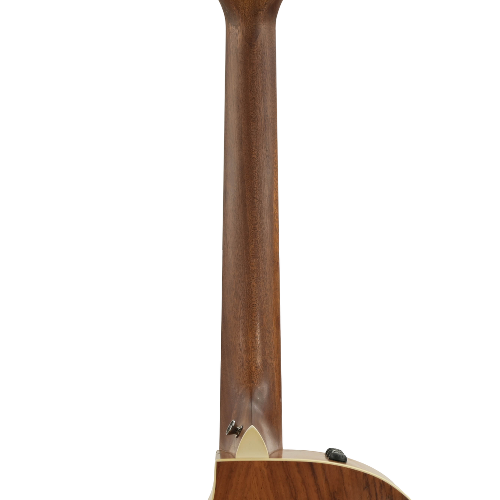 Taylor 214ce