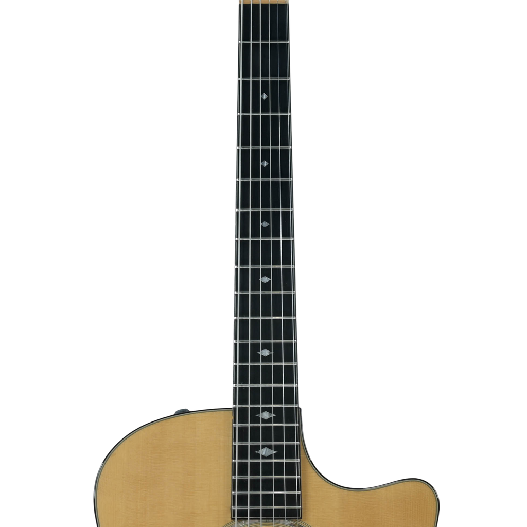 Taylor 516ce