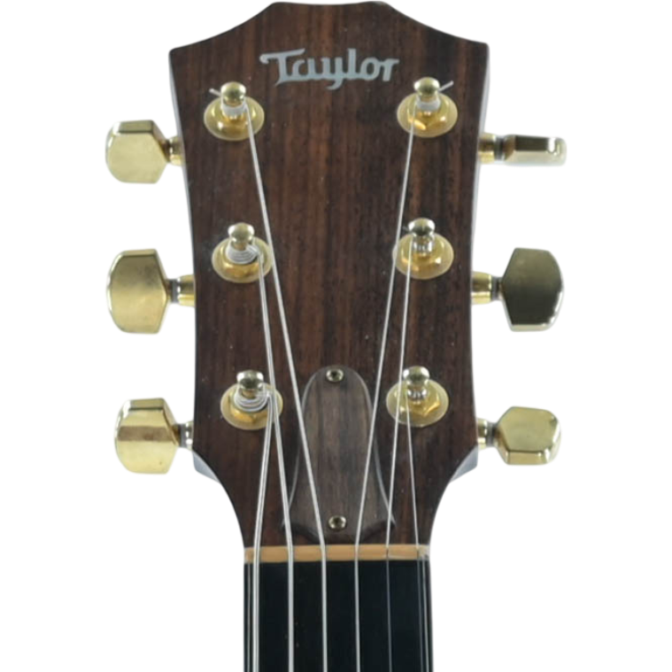 Taylor 516ce