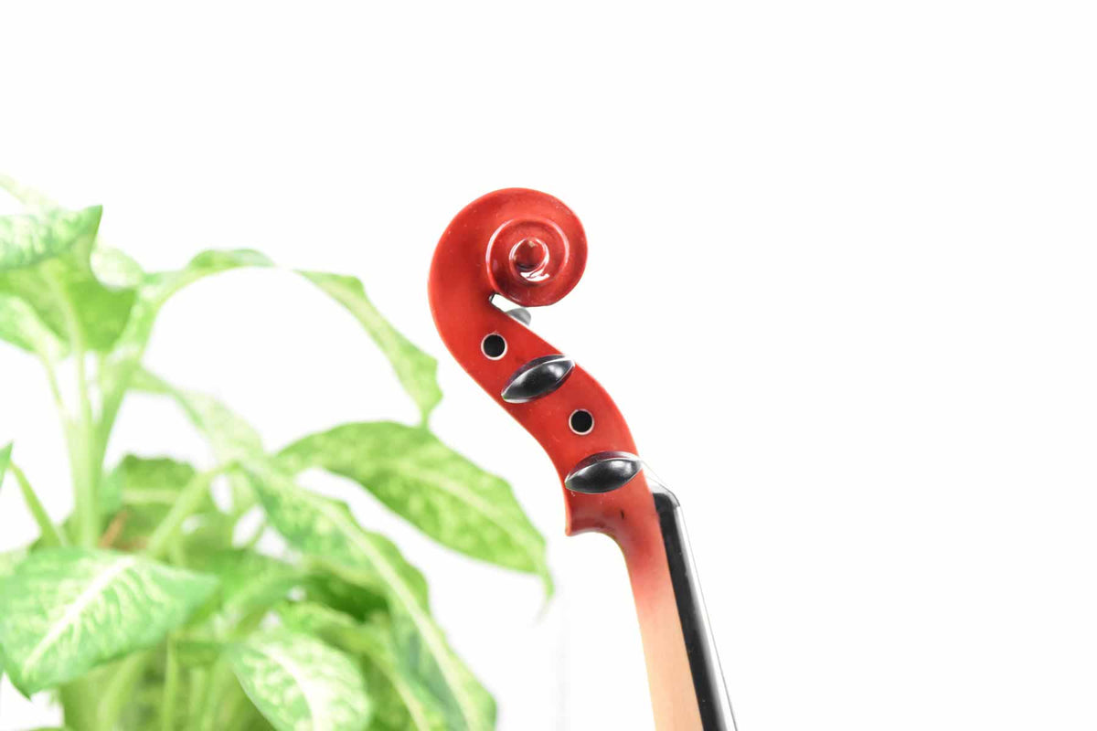 Main V2M Elektrische viool