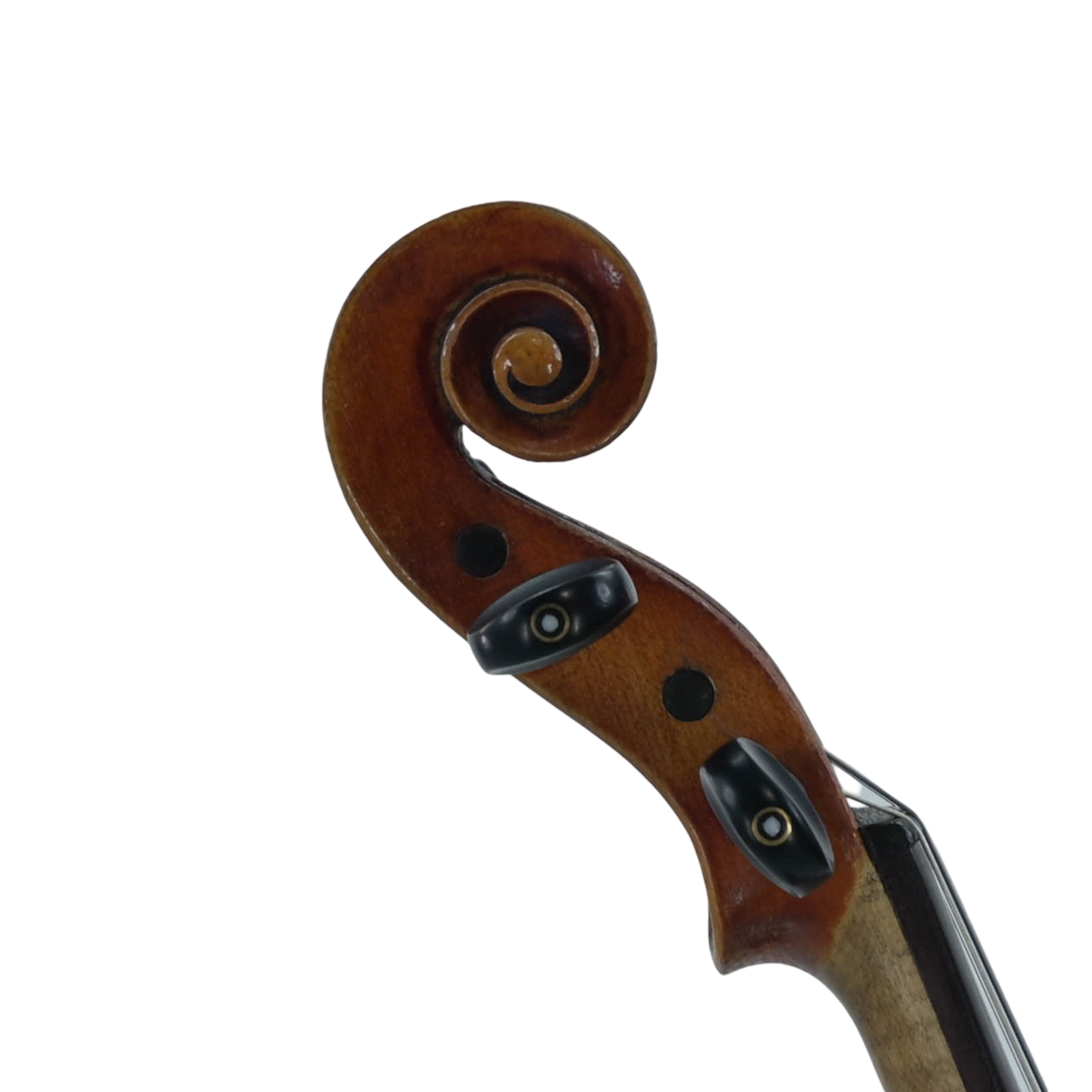 Viool 4/4 ''Stradivarius 1713''
