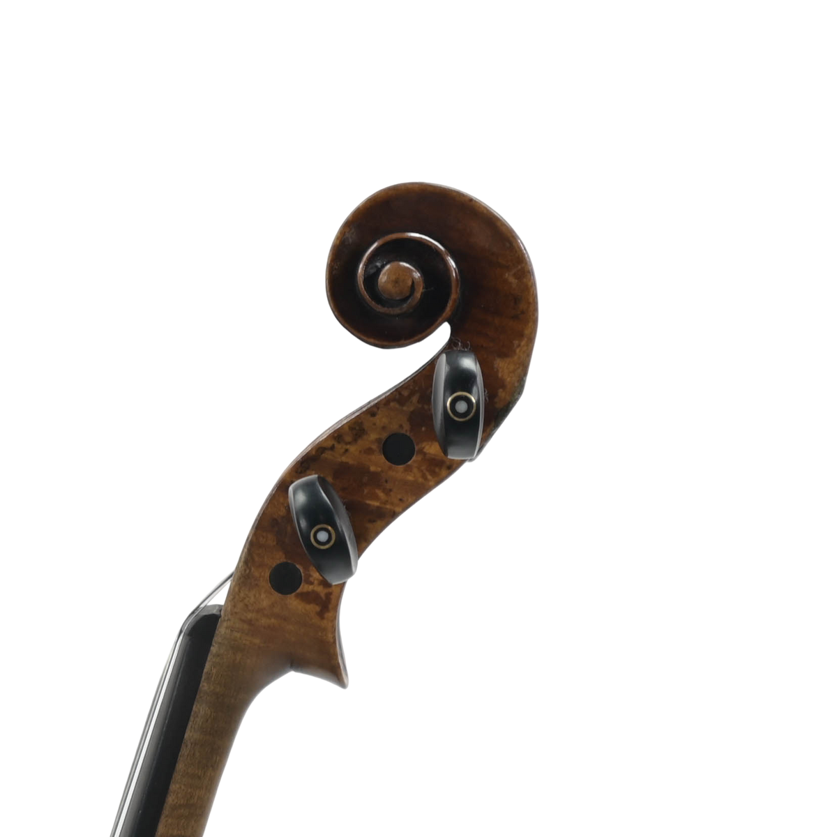 Viool 4/4 ''Antonius Stradivarius Cremonensis 1713''