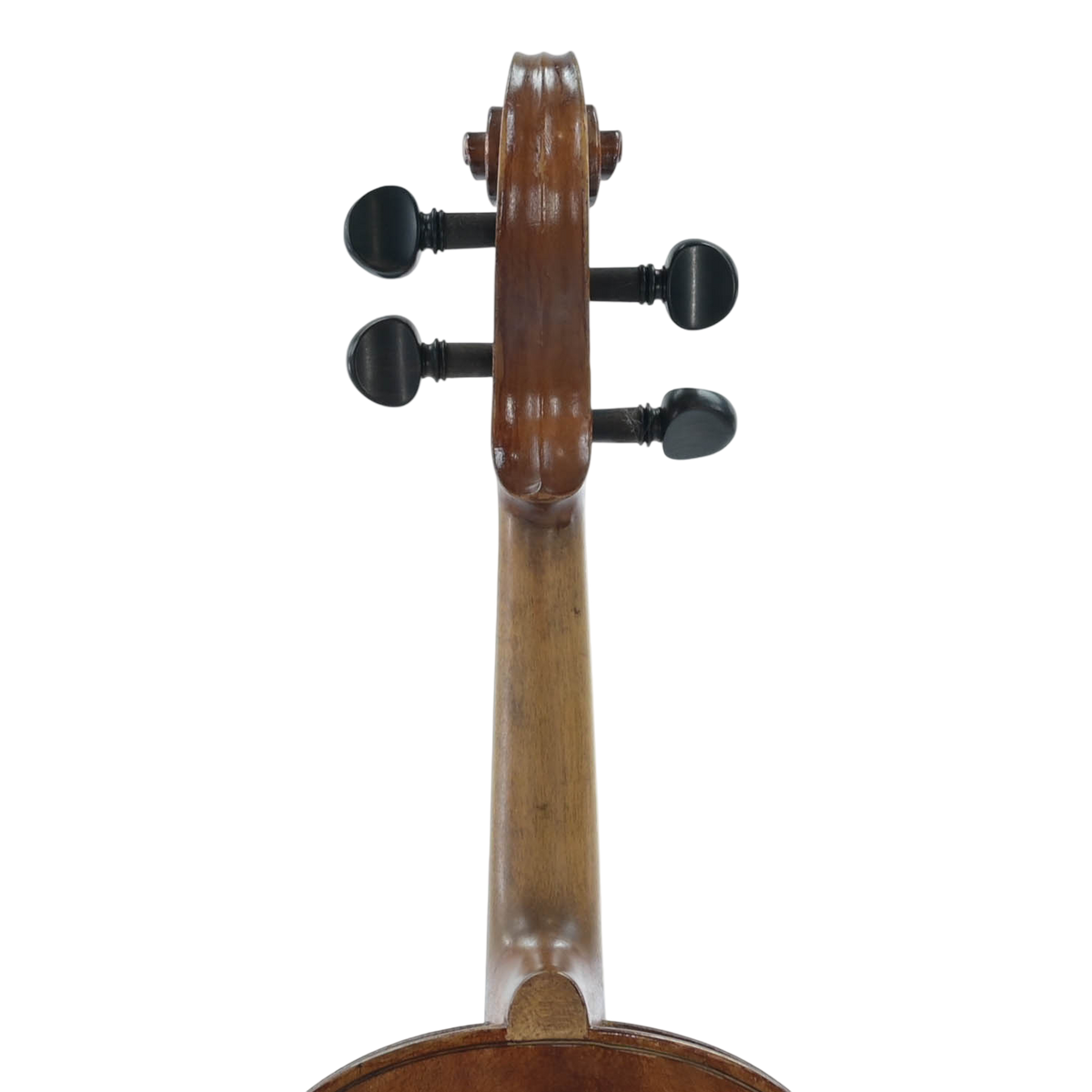 Viool 4/4 ''Cody de Stradivarius)