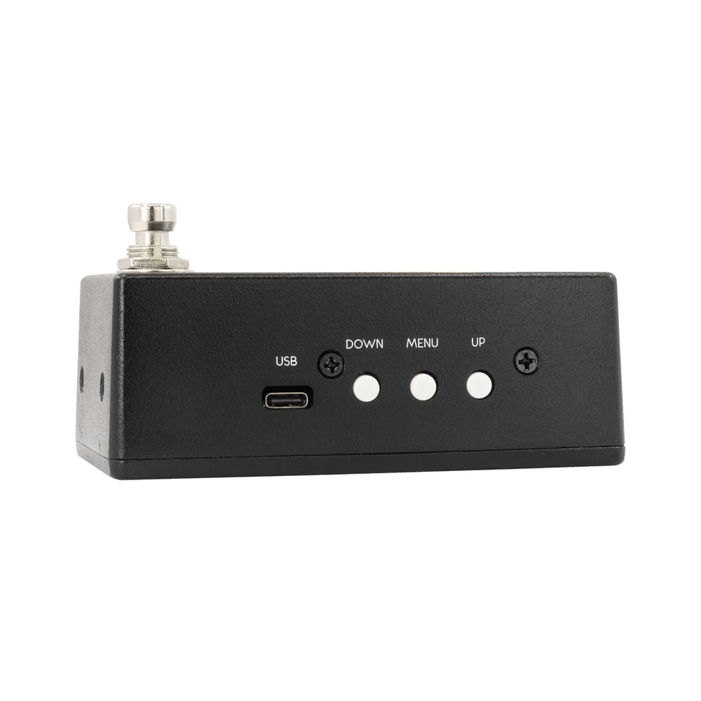 Walrus Audio Canvas Tuner