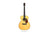 Recording King RD-342 Occasion