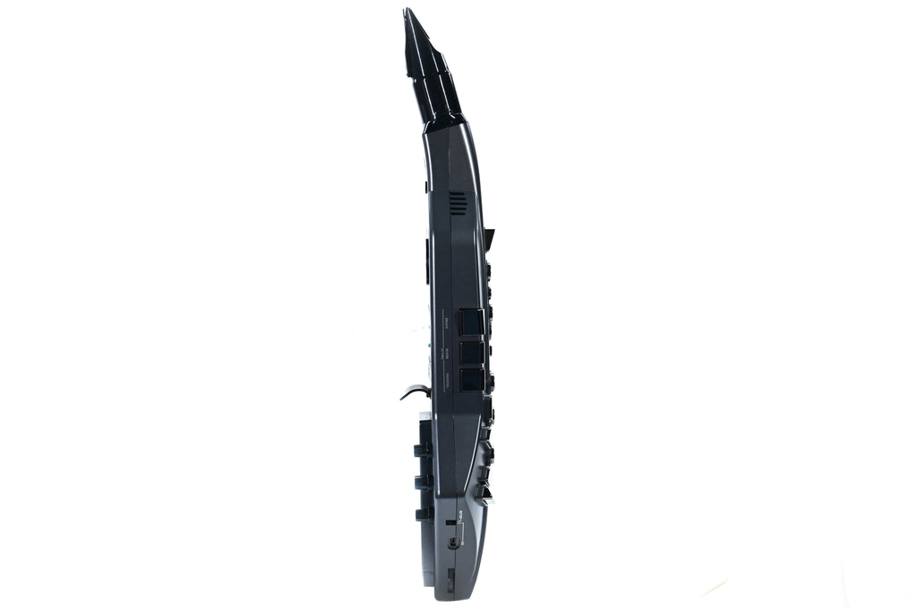 Roland Aerophone Go