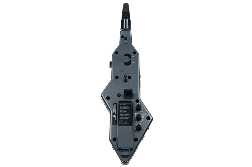 Roland Aerophone Go