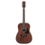 Ibanez AW54-OPN