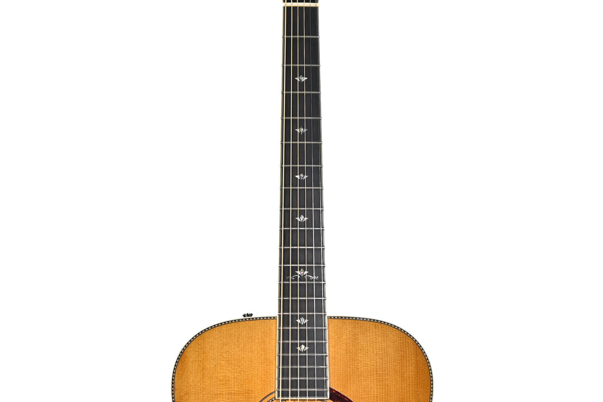 Fender PM-1 deluxe Naturel