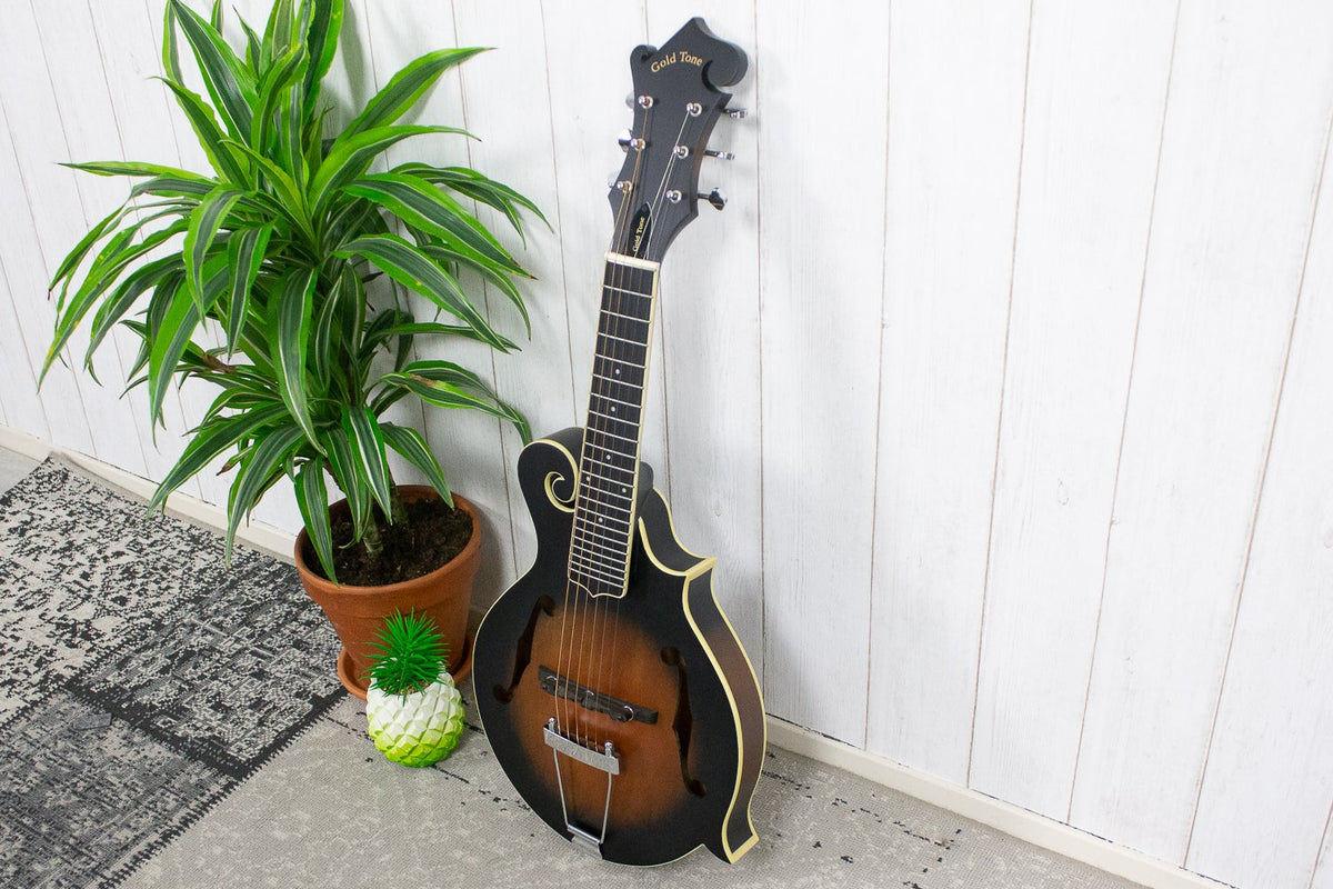 Gold Tone Mando Guitar Semi-Akoestisch (5275622473892)