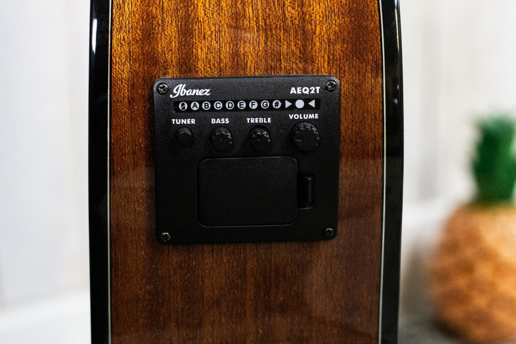 Ibanez GA6CE-AM semi-akoestische klassieke gitaar (5274865041572)