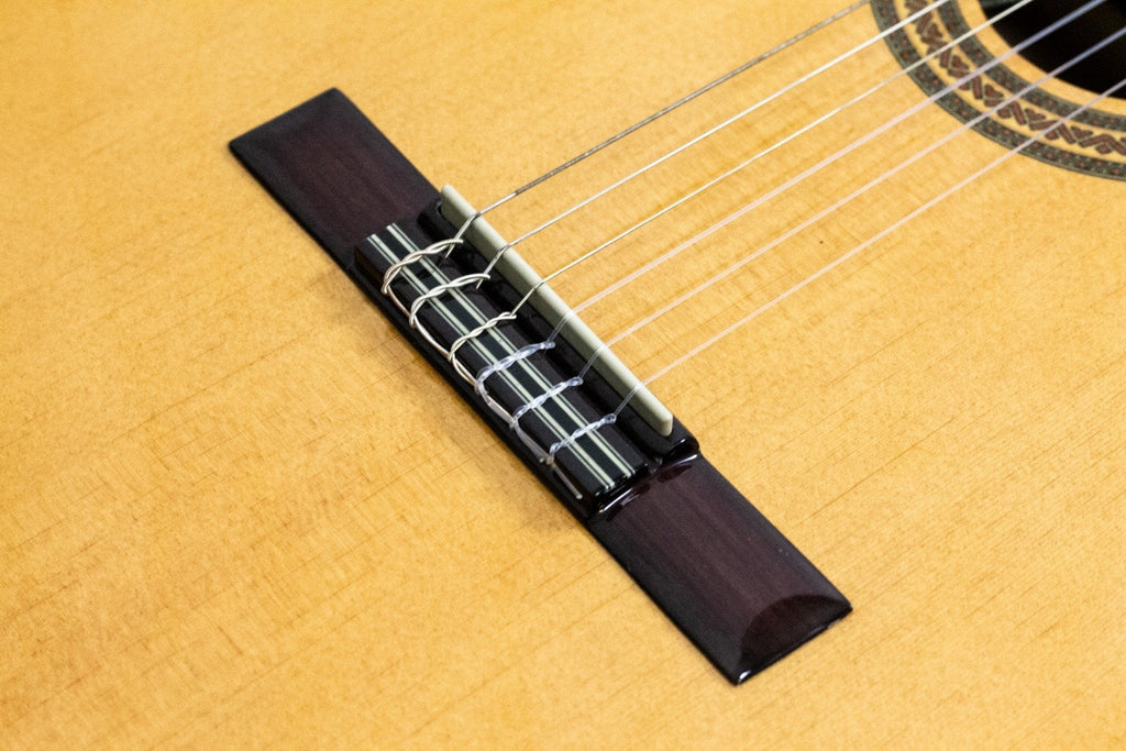 Ibanez GA6CE-AM semi-akoestische klassieke gitaar (5274865041572)