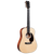 Martin DJR-10E Junior