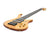 Kritz 5-String Human Fretless Bass Occasion