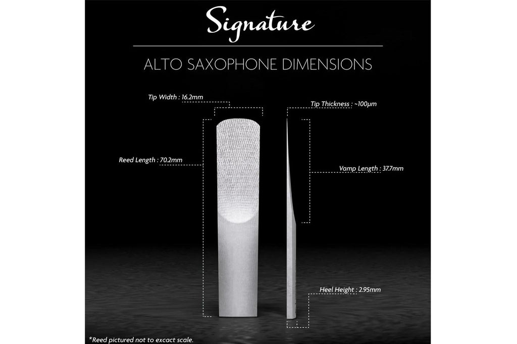 Legere Signature Altsaxofoon 2