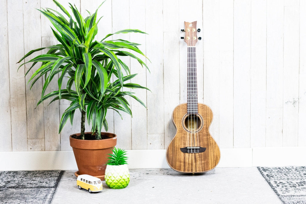 Ortega RUACA-TE Acacia Series Tenor (5375648366756)