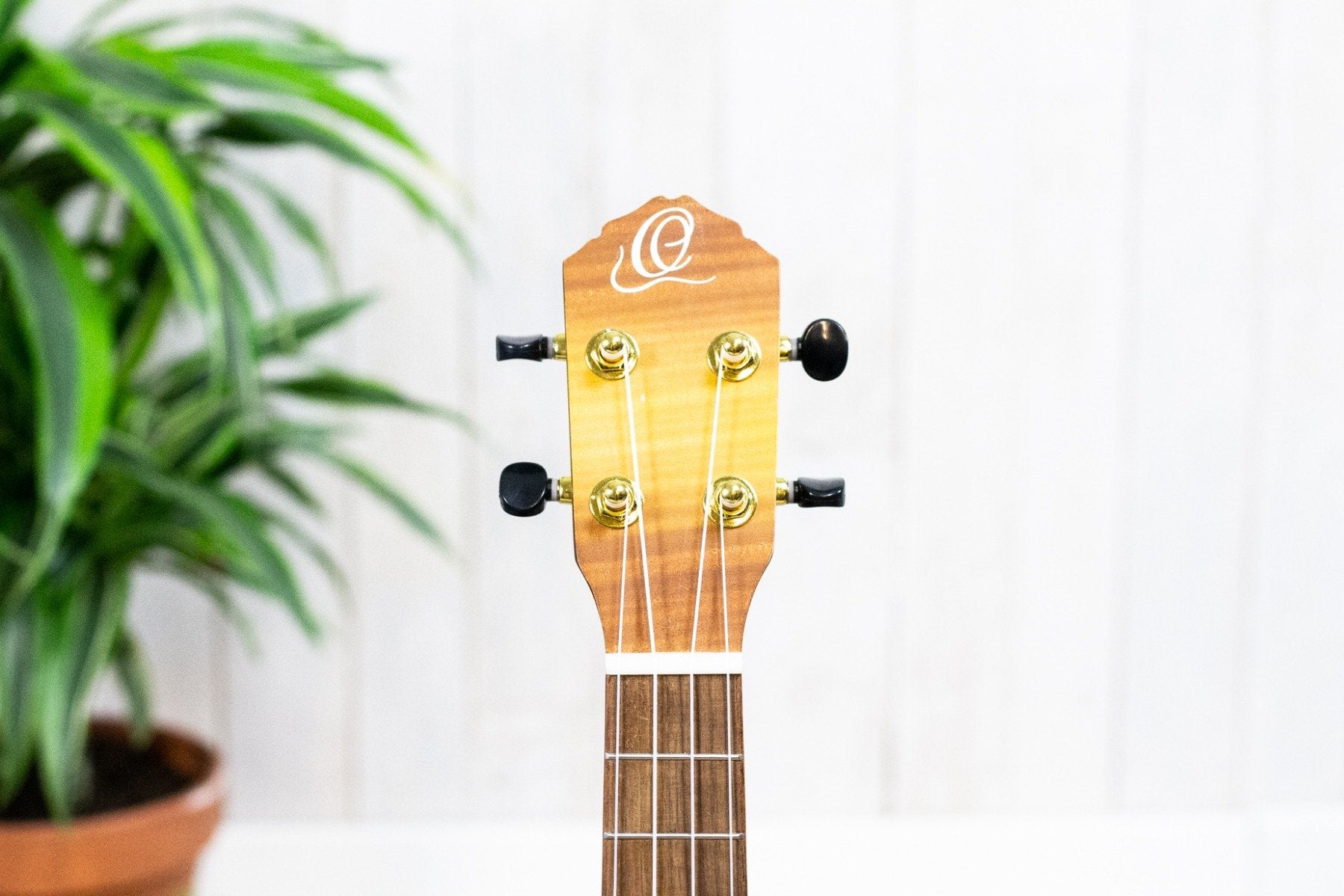 Ortega RUSL-HSB Ukulele Saloon Series Semi Akoestisch (5375849070756)