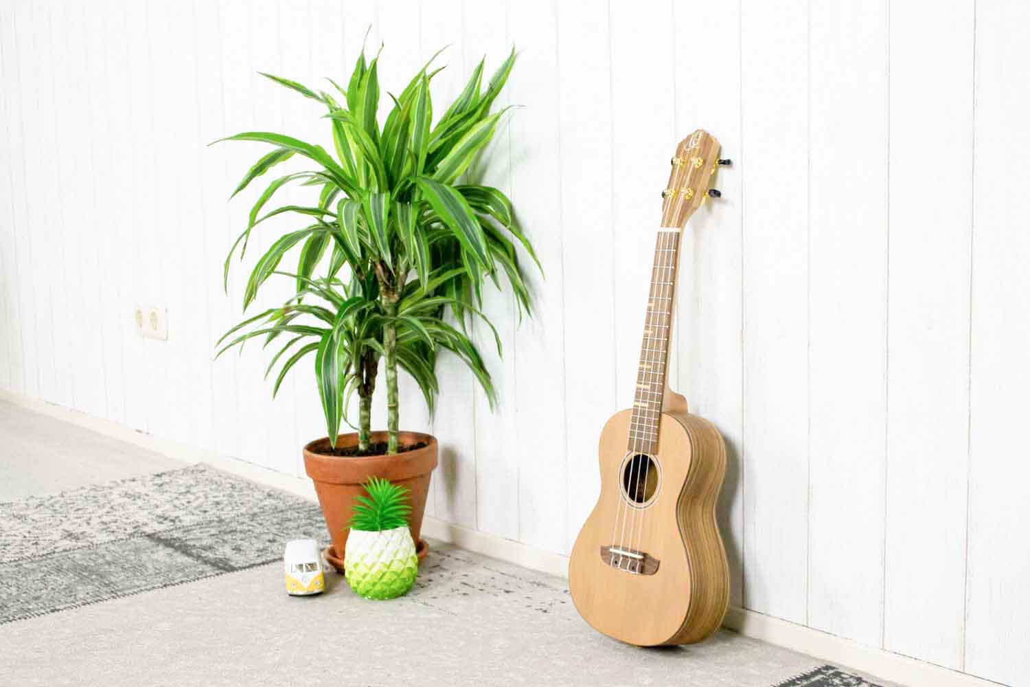 Ortega RUTI-CC Ukulele Timber serie Concert (5375854051492)