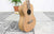 Ortega RUTI-CC Ukulele Timber serie Concert (5375854051492)