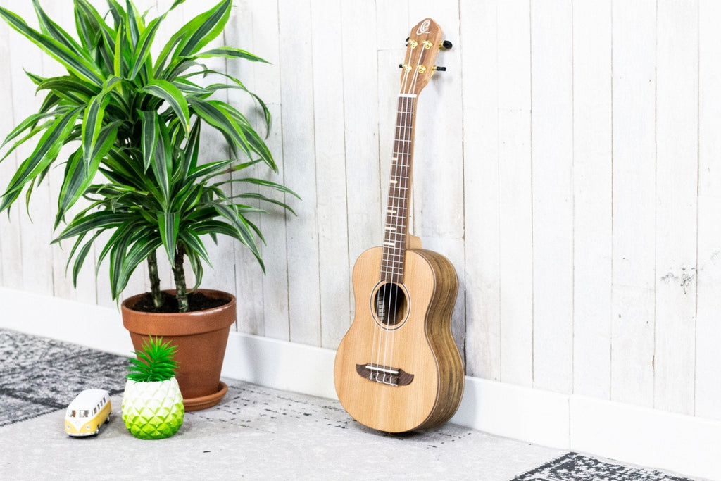 Ortega RUTI-TE Timber Series Tenor (5375889113252)