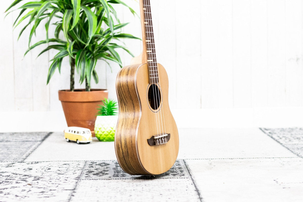 Ortega RUTI-TE Timber Series Tenor (5375889113252)