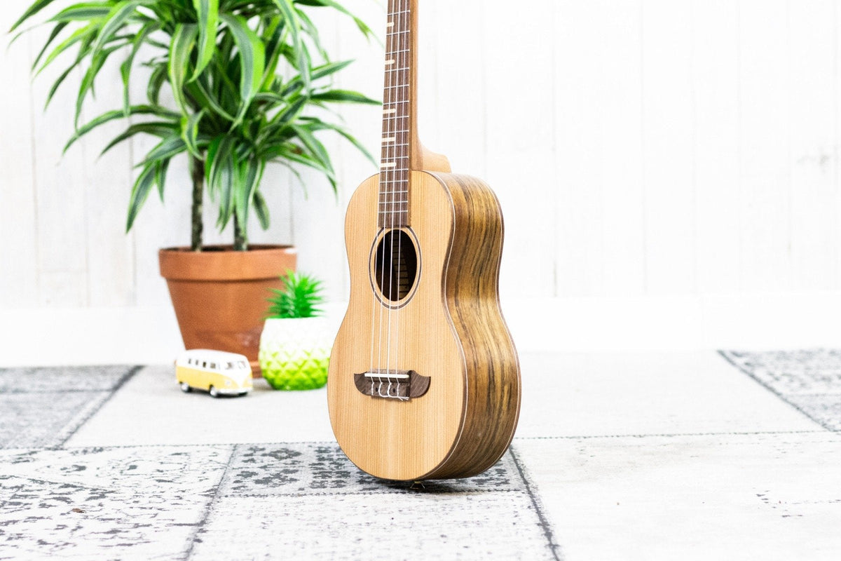 Ortega RUTI-TE Timber Series Tenor (5375889113252)