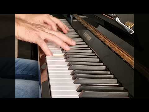 W. Hoffmann V-120 Zwart Hoogglans Piano