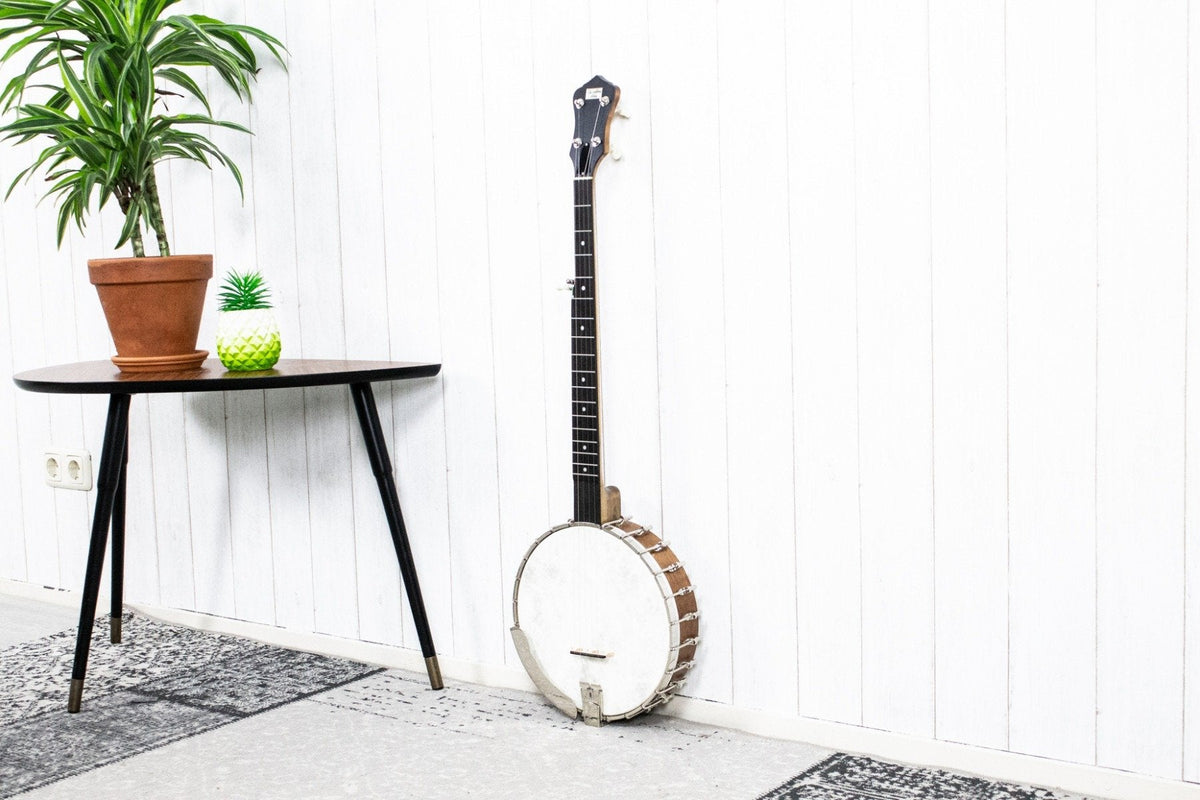 Recording King RK-OT25-BR Old Time Open Back Banjo (5275545141412)