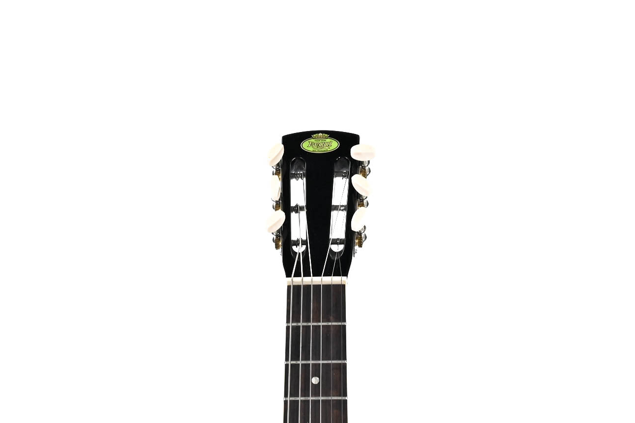 Regal RD-45 Black Lap Steel gitaar