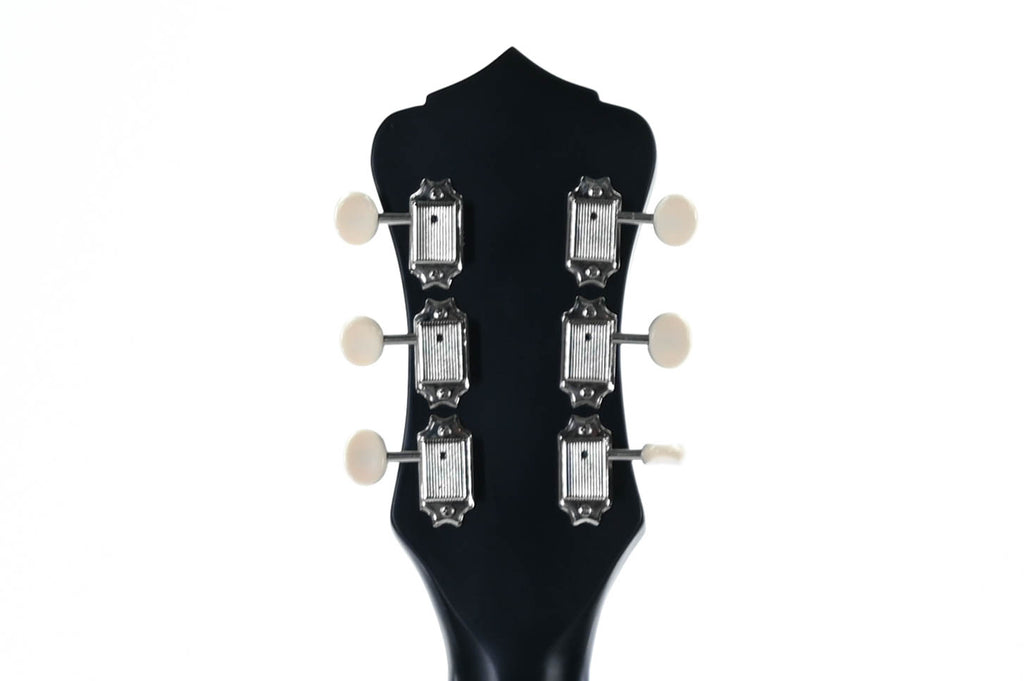Recording King RDS-9-TS Western gitaar
