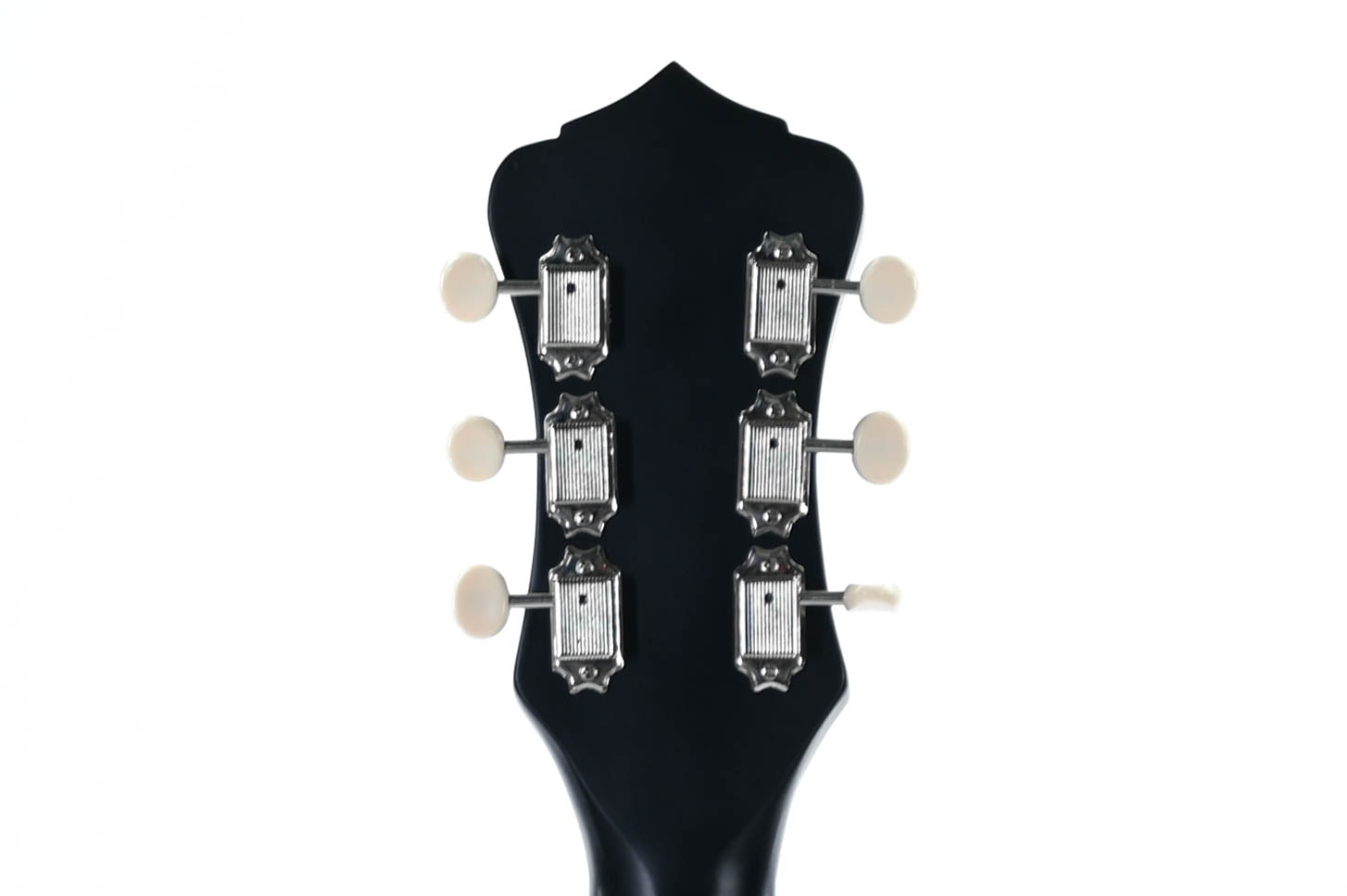 Recording King RDS-9-TS Western gitaar
