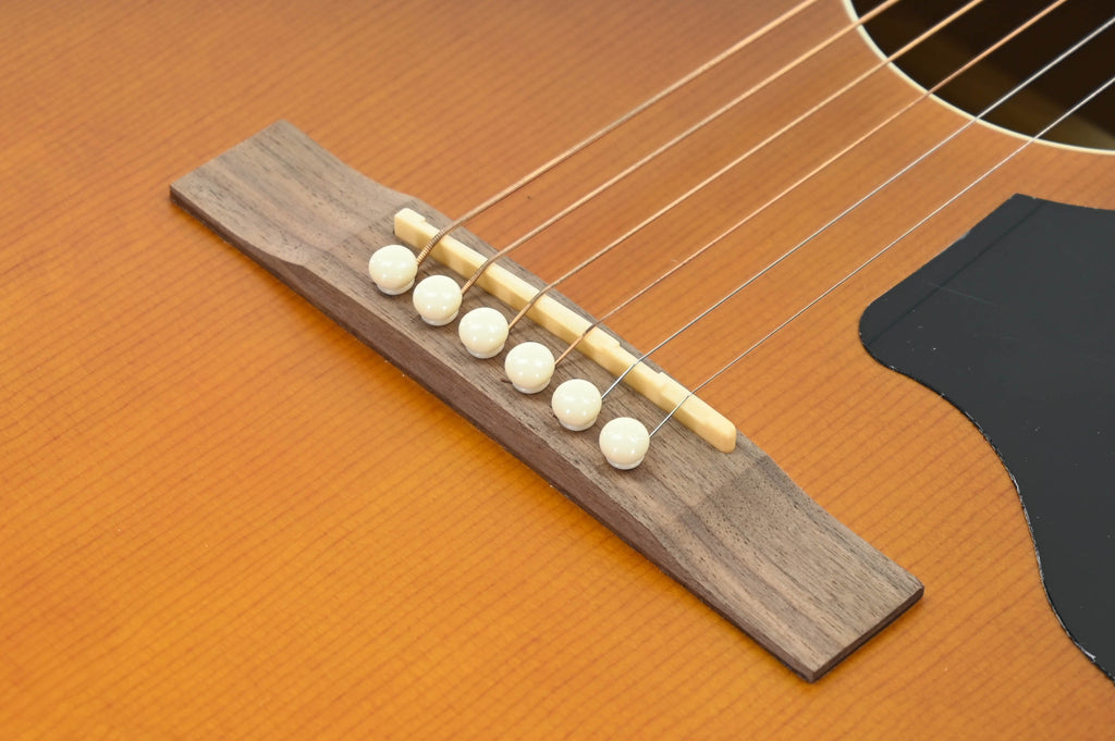 Recording King RDS-9-TS Western gitaar
